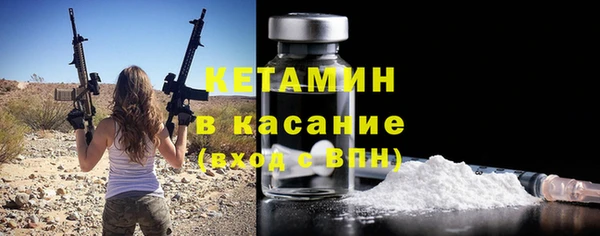хмурый Аркадак