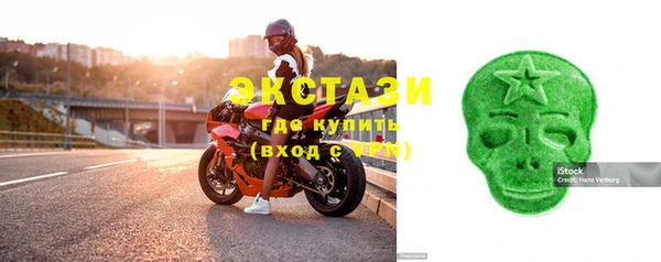 хмурый Аркадак