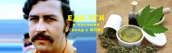 хмурый Аркадак