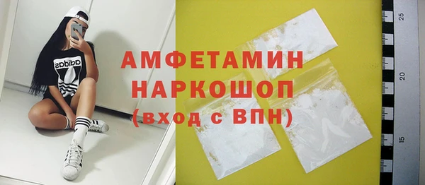 хмурый Аркадак