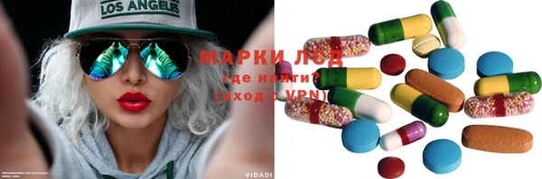 индика Армянск