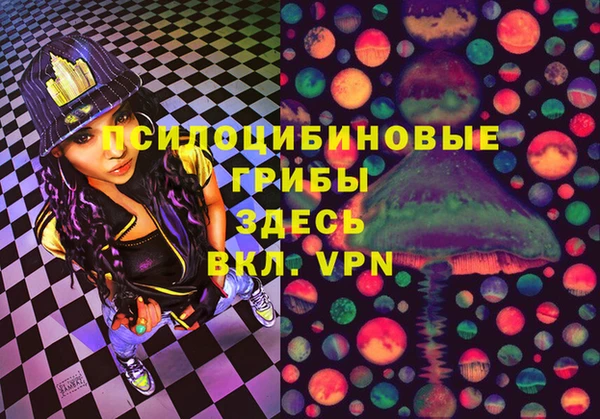хмурый Аркадак