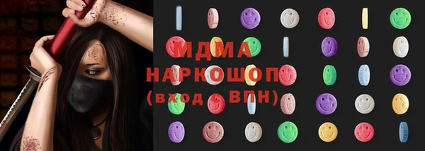 хмурый Аркадак