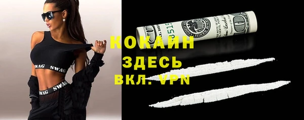 индика Армянск