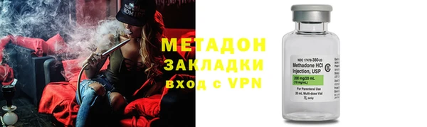 хмурый Аркадак