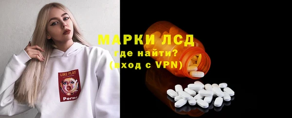 хмурый Аркадак