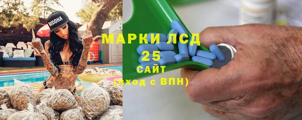индика Армянск