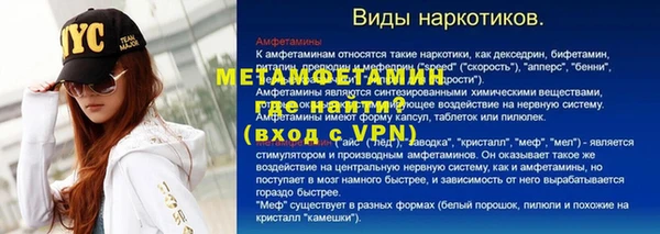 хмурый Аркадак