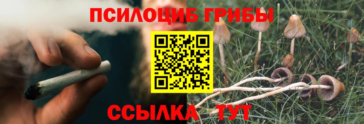 Галлюциногенные грибы мицелий Коряжма